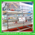 Labor Saving Broiler Breeder Feeding System